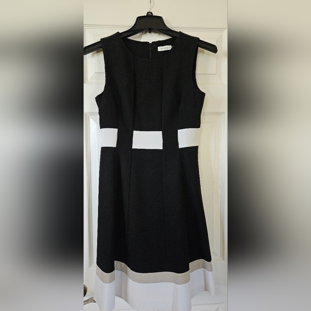 Calvin Klein Sleeveless Black and White Dress